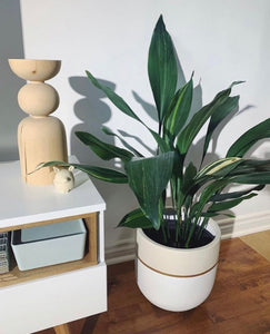 GALA POT | PLANTER