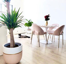 GALA POT | PLANTER