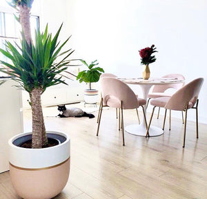 GALA POT | PLANTER