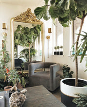 GALA POT | PLANTER