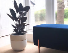 GALA POT | PLANTER