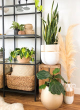 GALA POT | PLANTER