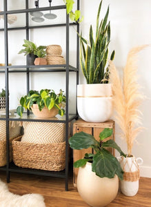 GALA POT | PLANTER