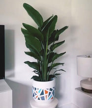 TERRAZZO POT | PLANTER