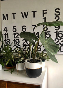 GALA POT | PLANTER