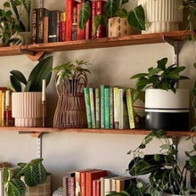 REFLECTION CYLINDER POT BLACK | PLANTER