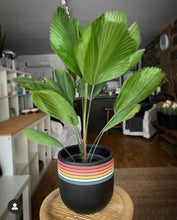 RETRO POT BLACK | PLANTER