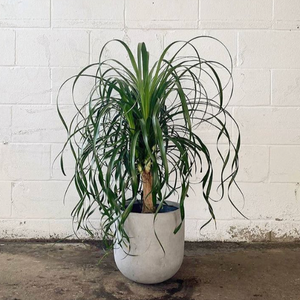 MODERN FIBERSTONE ROUND POT GREY | PLANTER
