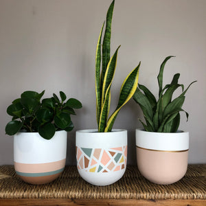 GALA POT | PLANTER