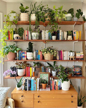 GRID CYLINDER POT BAKED CLAY | PLANTER