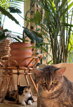 TOPPED UP POT TERRA CLAY | PLANTER