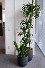 ESSENTIAL POT BLACK | PLANTER
