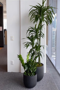 ESSENTIAL POT BLACK | PLANTER