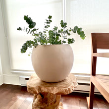SPHERE POT BEIGE | PLANTER
