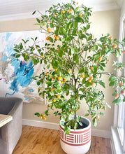 NOMAD POT | PLANTER