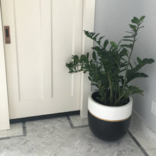 GALA POT BLACK | PLANTER