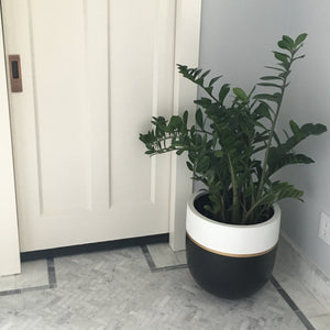 GALA POT BLACK | PLANTER