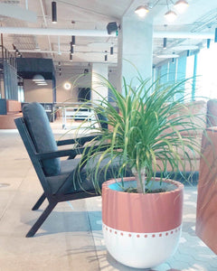 BOHO POT TERRACOTTA | PLANTER