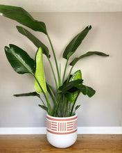 NOMAD POT TERRACOTTA | PLANTER