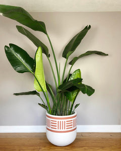 NOMAD POT TERRACOTTA | PLANTER