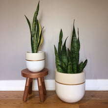 GALA POT | PLANTER