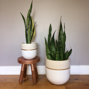 GALA POT | PLANTER