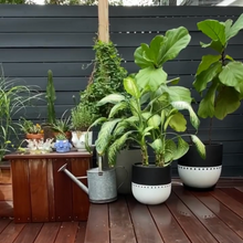 BOHO POT | PLANTER