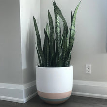 OVERLAY POT BAKED CLAY | PLANTER
