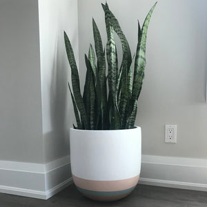 OVERLAY POT BAKED CLAY | PLANTER