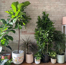 TERRAZZO POT BAKED CLAY | PLANTER