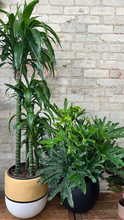 STRIPED SPLIT POT AUTUMN YELLOW /MUSHROOM | PLANTER