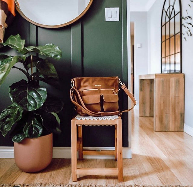 Essential Pot Desert Rose | Planter