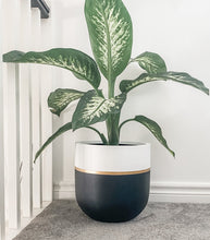 GALA POT BLACK | PLANTER