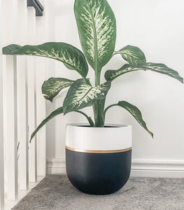 GALA POT BLACK | PLANTER