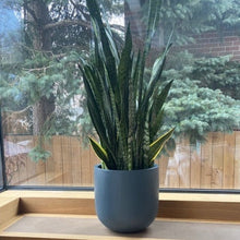 ESSENTIAL POT FRENCH NAVY | PLANTER