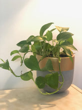 AURUM POT NATURAL | PLANTER