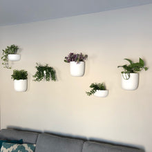 SOLID SHORT WALL PLANTER WHITE | POT