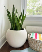 SPHERE POT WHITE | PLANTER