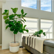 GALA POT TAN | PLANTER