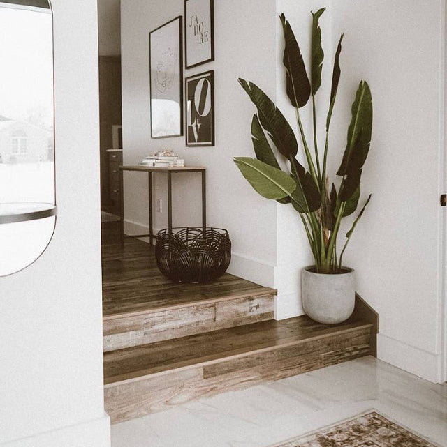 Fiberstone Round Planter Grey | Pot