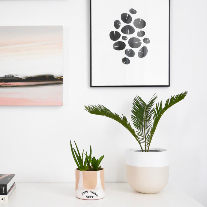 Contrast Rim Pot Tan | Planter