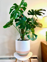 OVERLAY POT BAKED CLAY | PLANTER