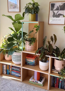 SPIRE POT SAGE | PLANTER