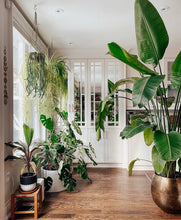 BOHO POT BLACK | PLANTER