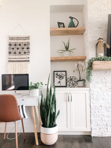 GALA POT | PLANTER