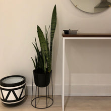 Aztec Pot Black | Planter
