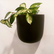 SOLID TALL WALL PLANTER BLACK | POT