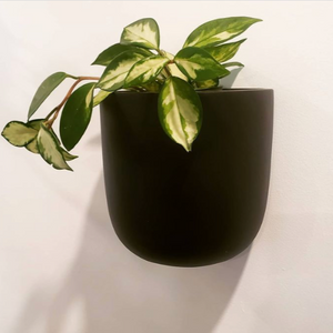 SOLID TALL WALL PLANTER BLACK | POT