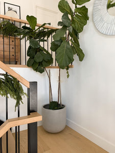 MODERN FIBERSTONE ROUND POT GREY | PLANTER