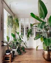 LOW CYLINDER POT WHITE | PLANTER